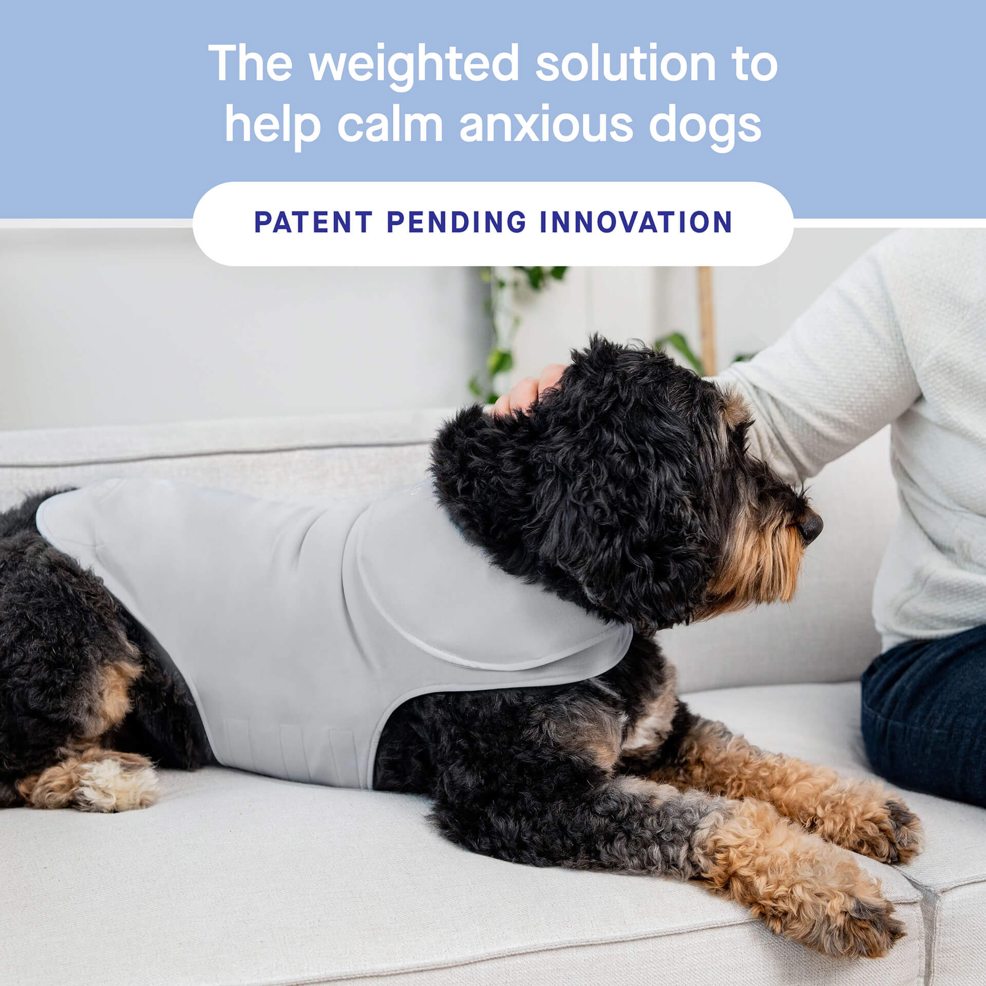 Weighted Calming Vest