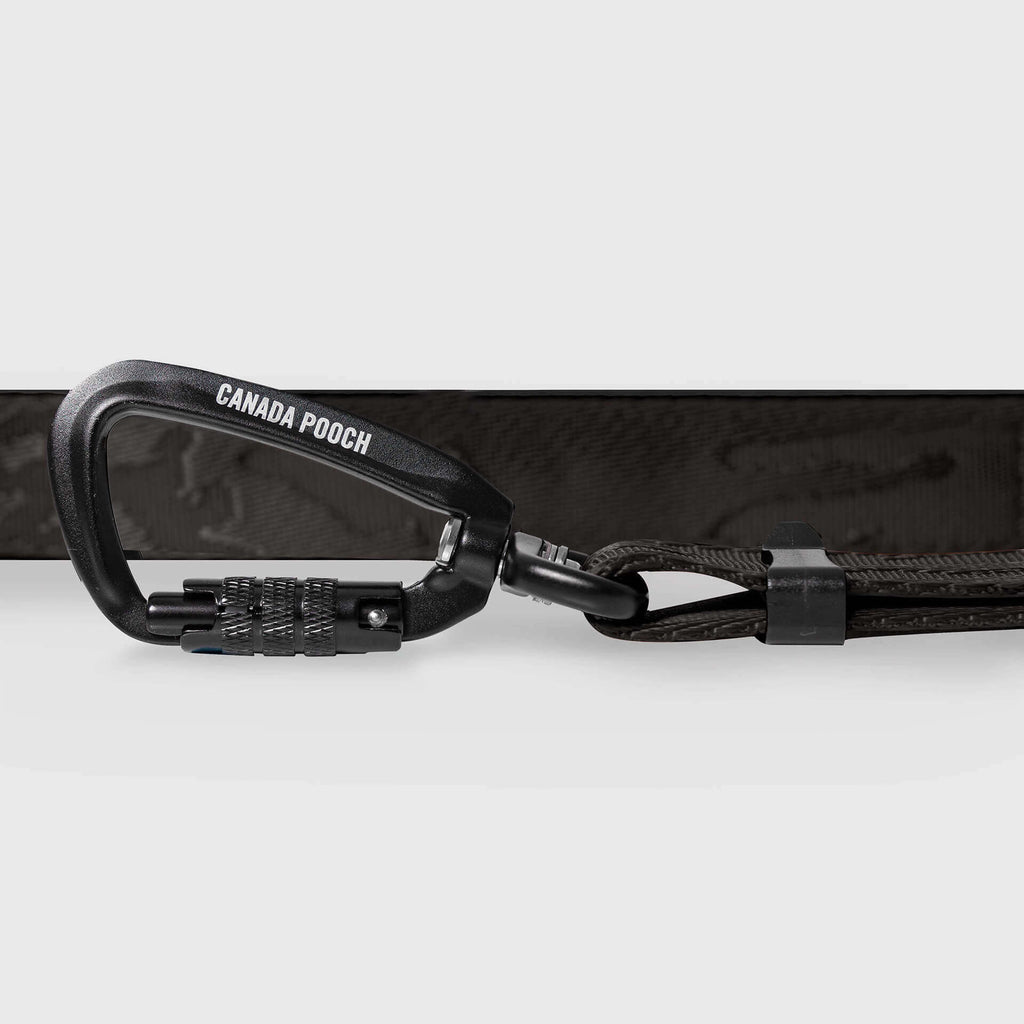 Utility Leash