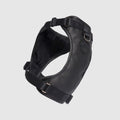 Eco+ Everything Harness