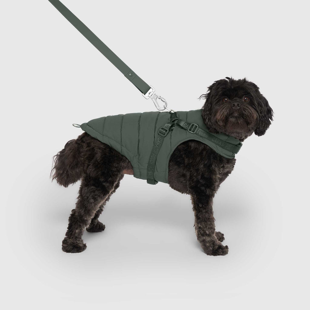 Harness Puffer