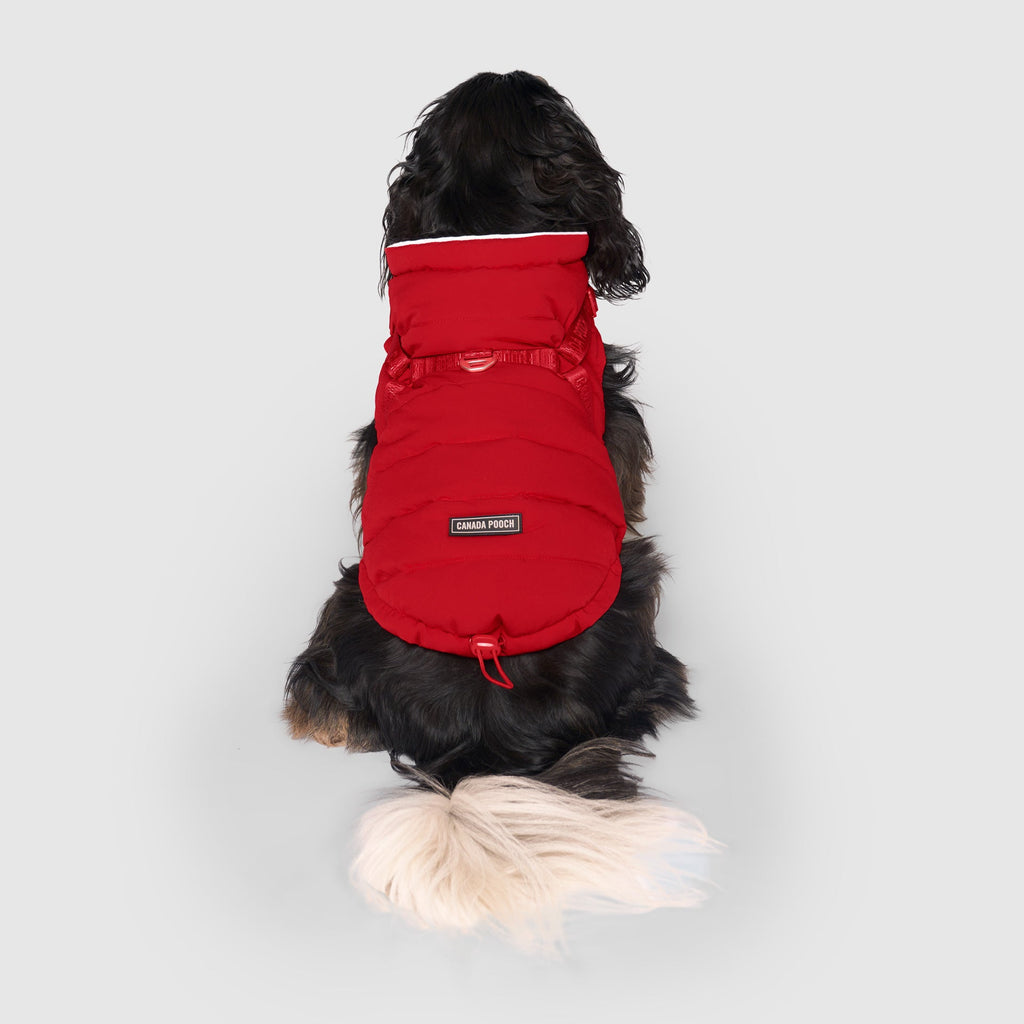 Harness Puffer