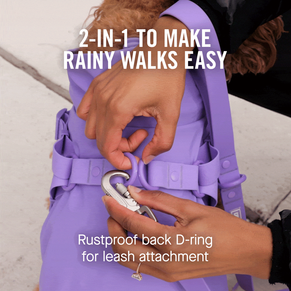 Harness Raincoat
