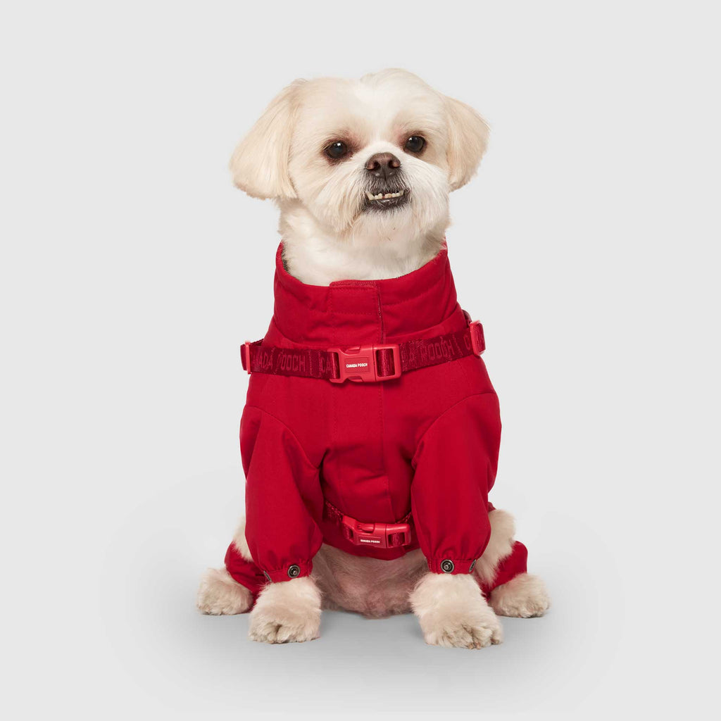 Harness Snow Suit