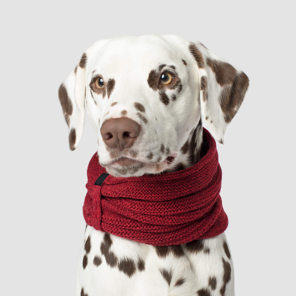 Sierra Scarf