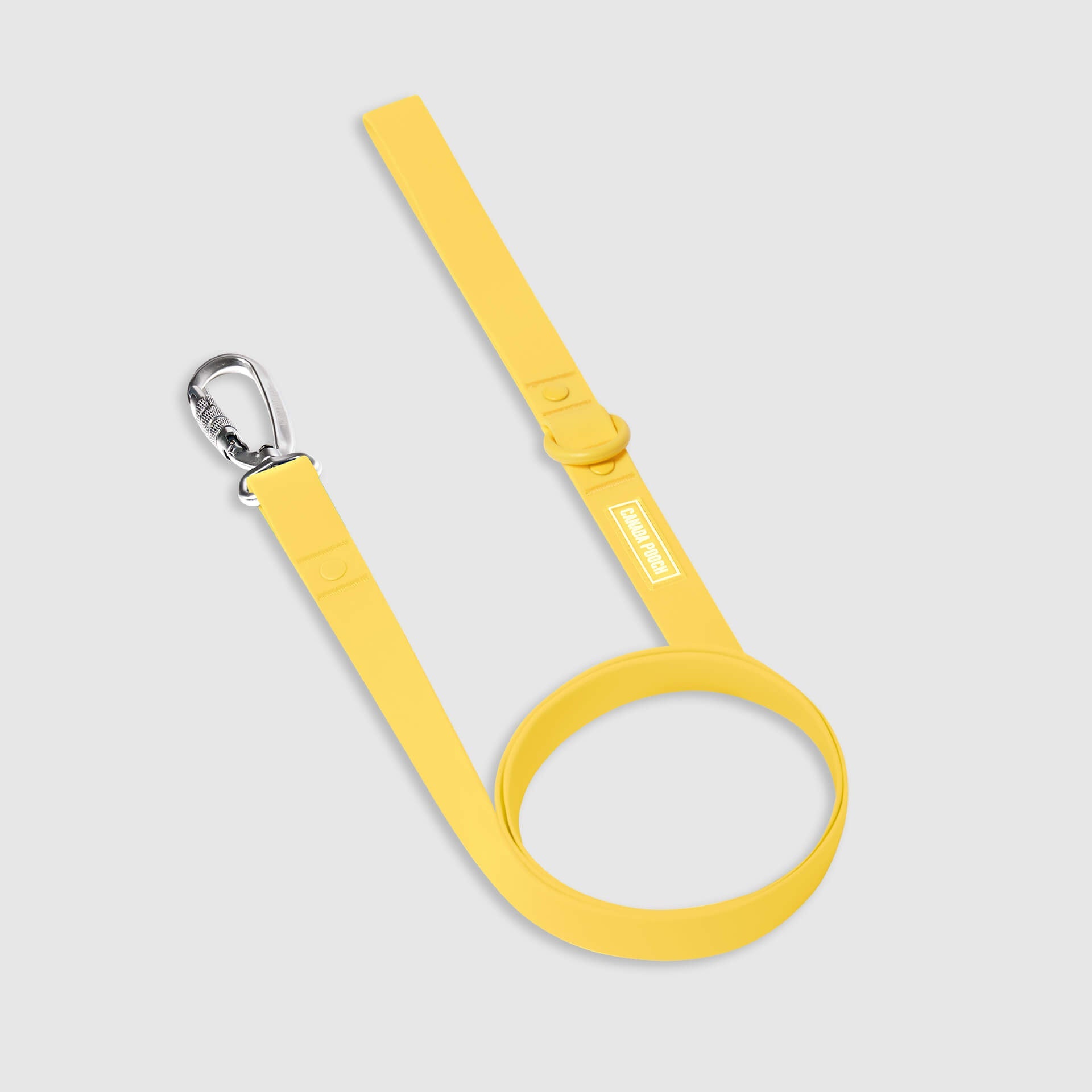 Waterproof Leash